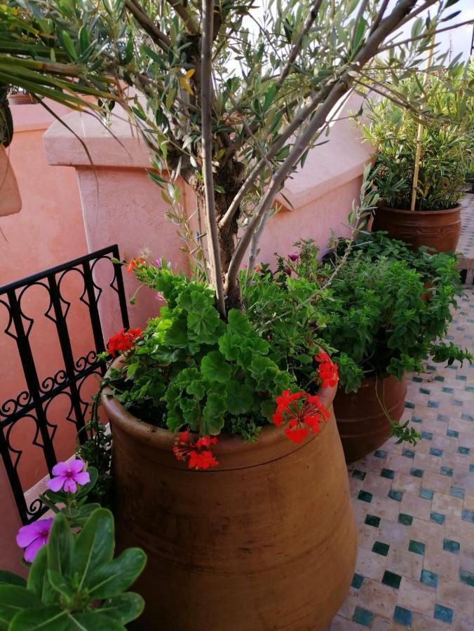 Riad Aventurine Marrákes Kültér fotó